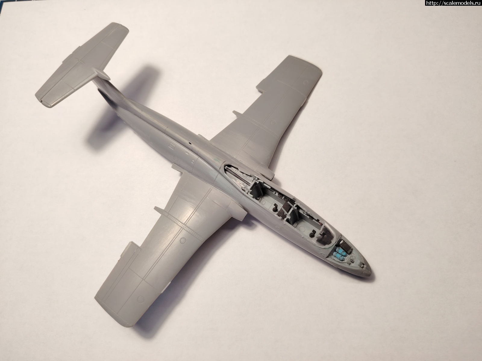 L-29 Delfin 1:72  .  