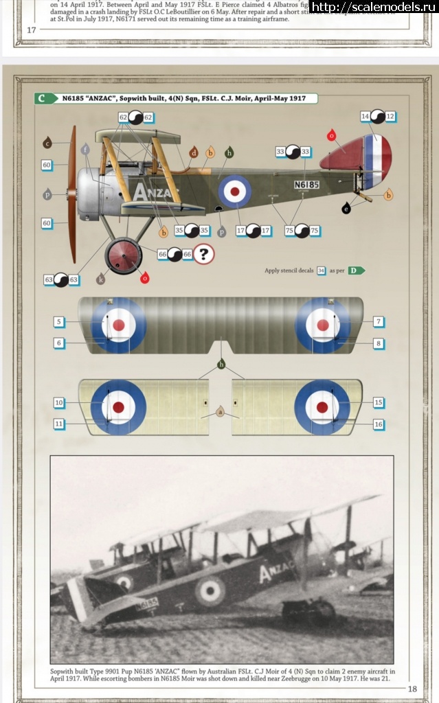 Sopwith pup 1/48 Flashback  