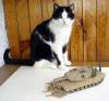 1/35 Trumpeter M1A1HA Abrams    TWMP - - 